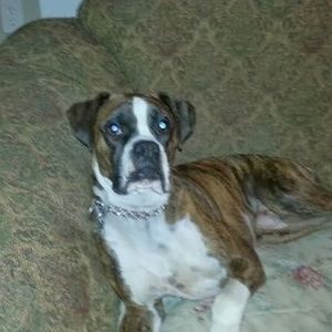 Meet your Posher, Kc